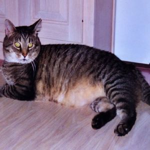 Meet your Posher, Teri